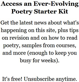 Text in image: Access an Ever-Evolving Poetry Starter Kit by entering your email below. Get the latest news about what's happening on this site, plus tips on revision and on how to read poetry, samples from courses, and more (enough to keep you busy for weeks). It's free! Unsubscribe anytime. 